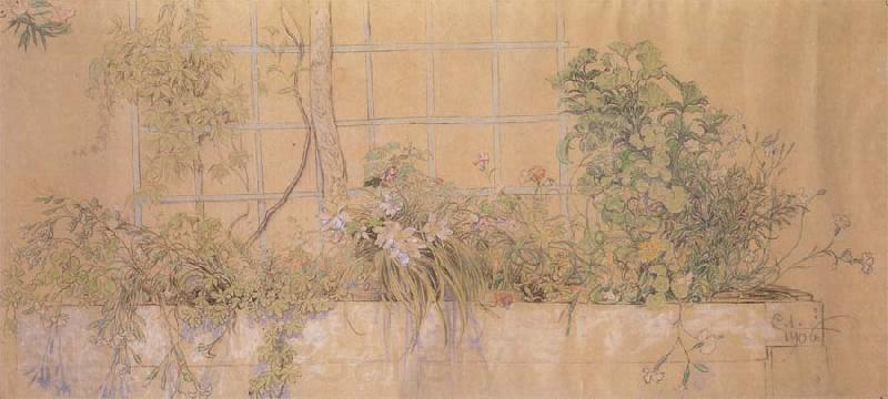 Carl Larsson Flower Bed Norge oil painting art